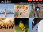 Best equipment for wildlife photography - Crowd wisdom [EN]